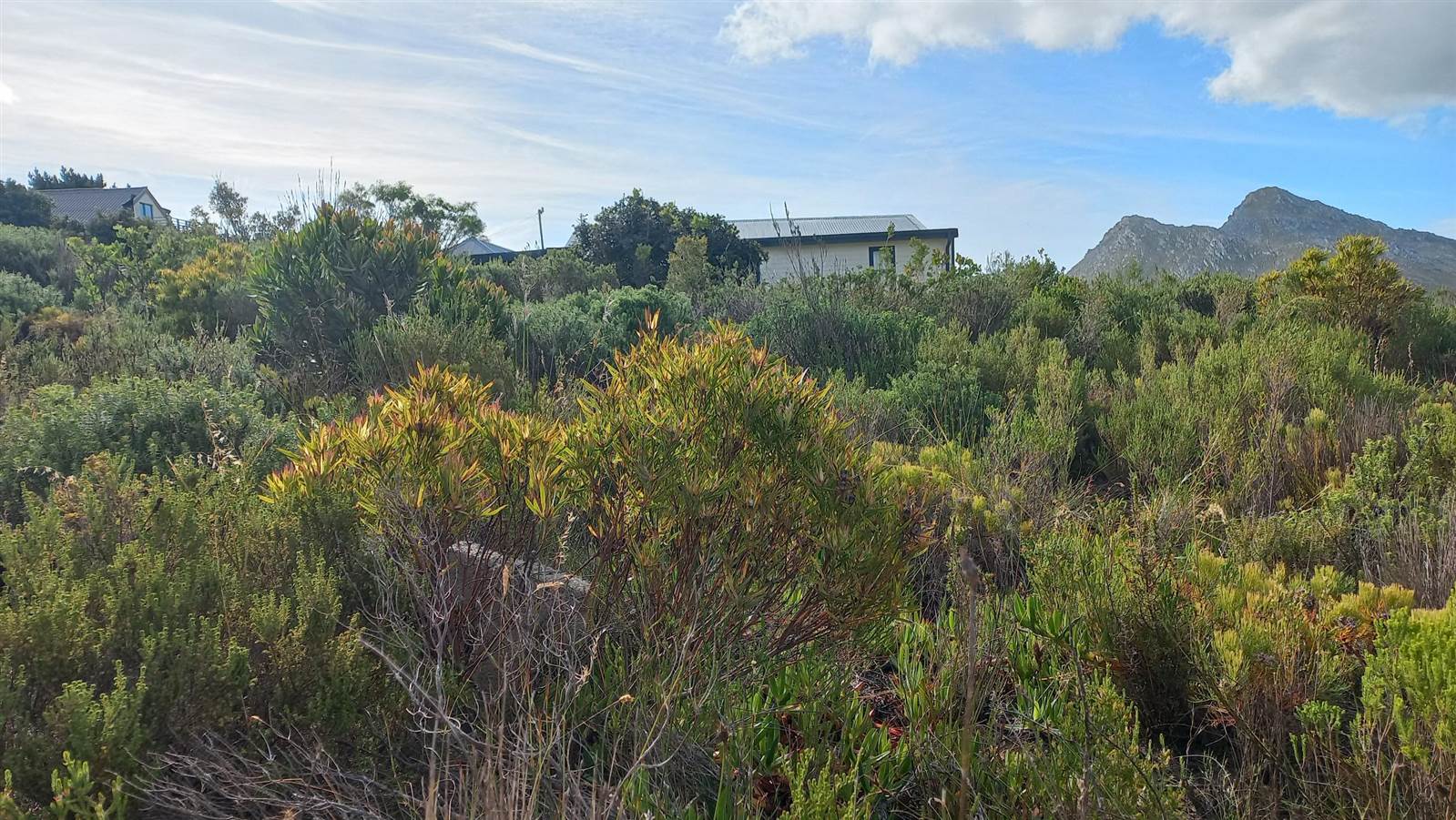 620 m² Land available in Pringle Bay photo number 12