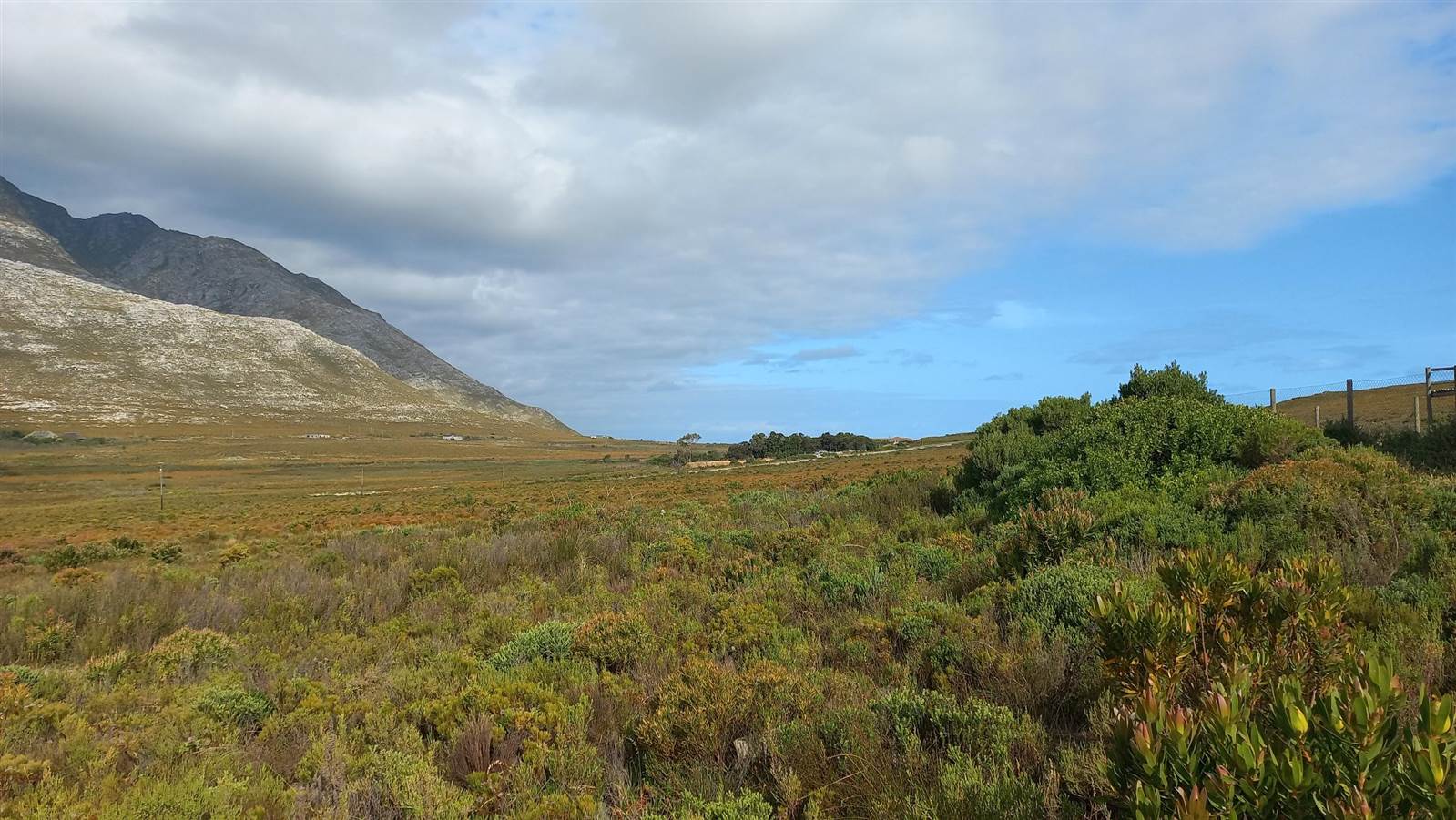 620 m² Land available in Pringle Bay photo number 7