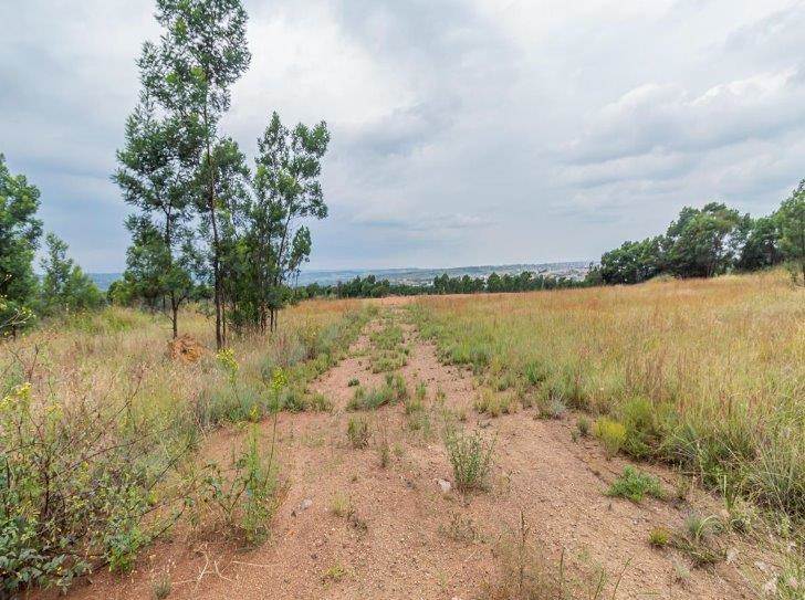 10 ha Land available in Mooikloof Equestrian Estate photo number 7
