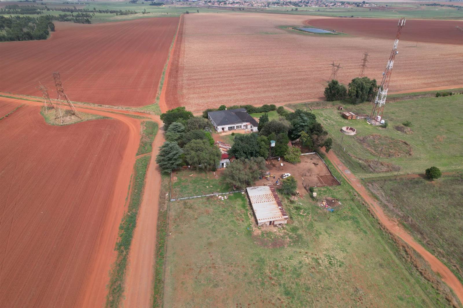 6.5 ha Farm in Delmas photo number 6