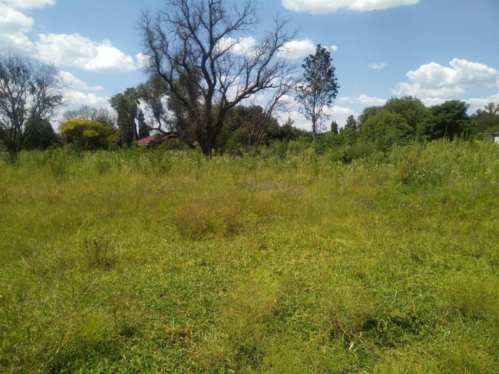 1000 m² Land available in Riversdale photo number 2