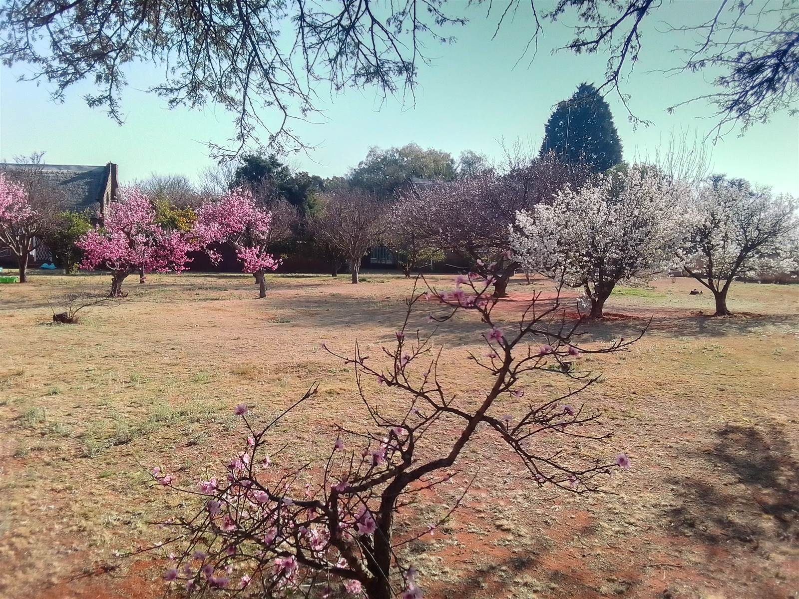 8.6 ha Farm in Randfontein photo number 14