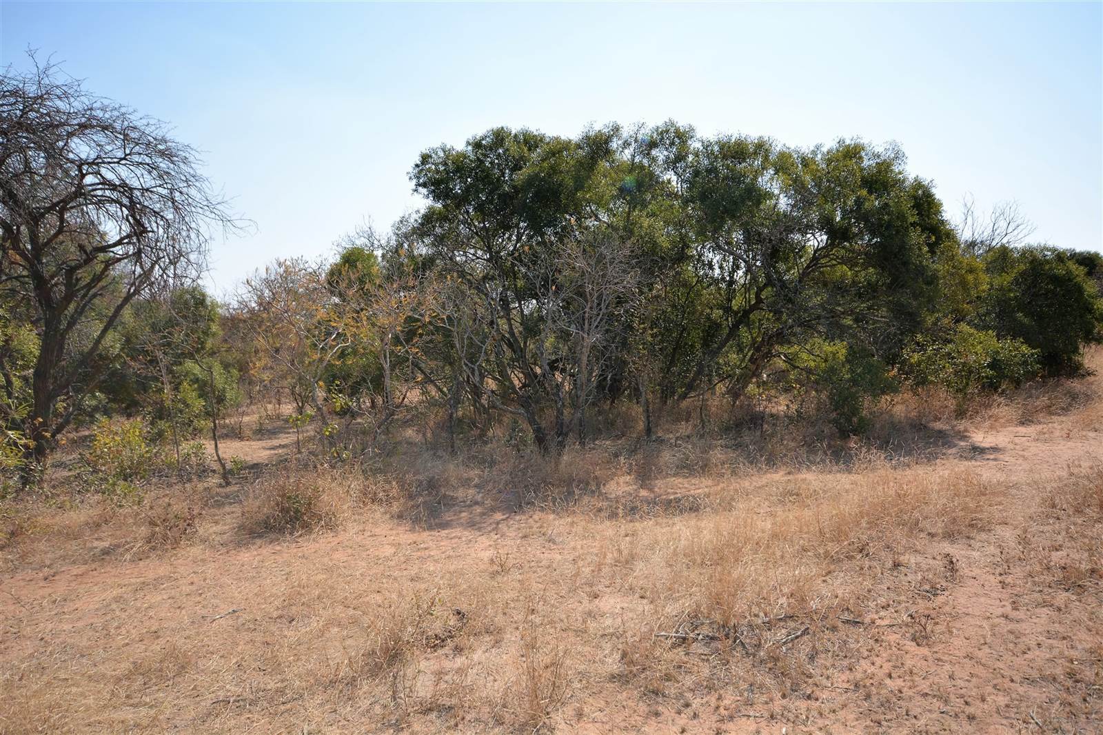 1 ha Land available in Moditlo Nature Reserve photo number 10