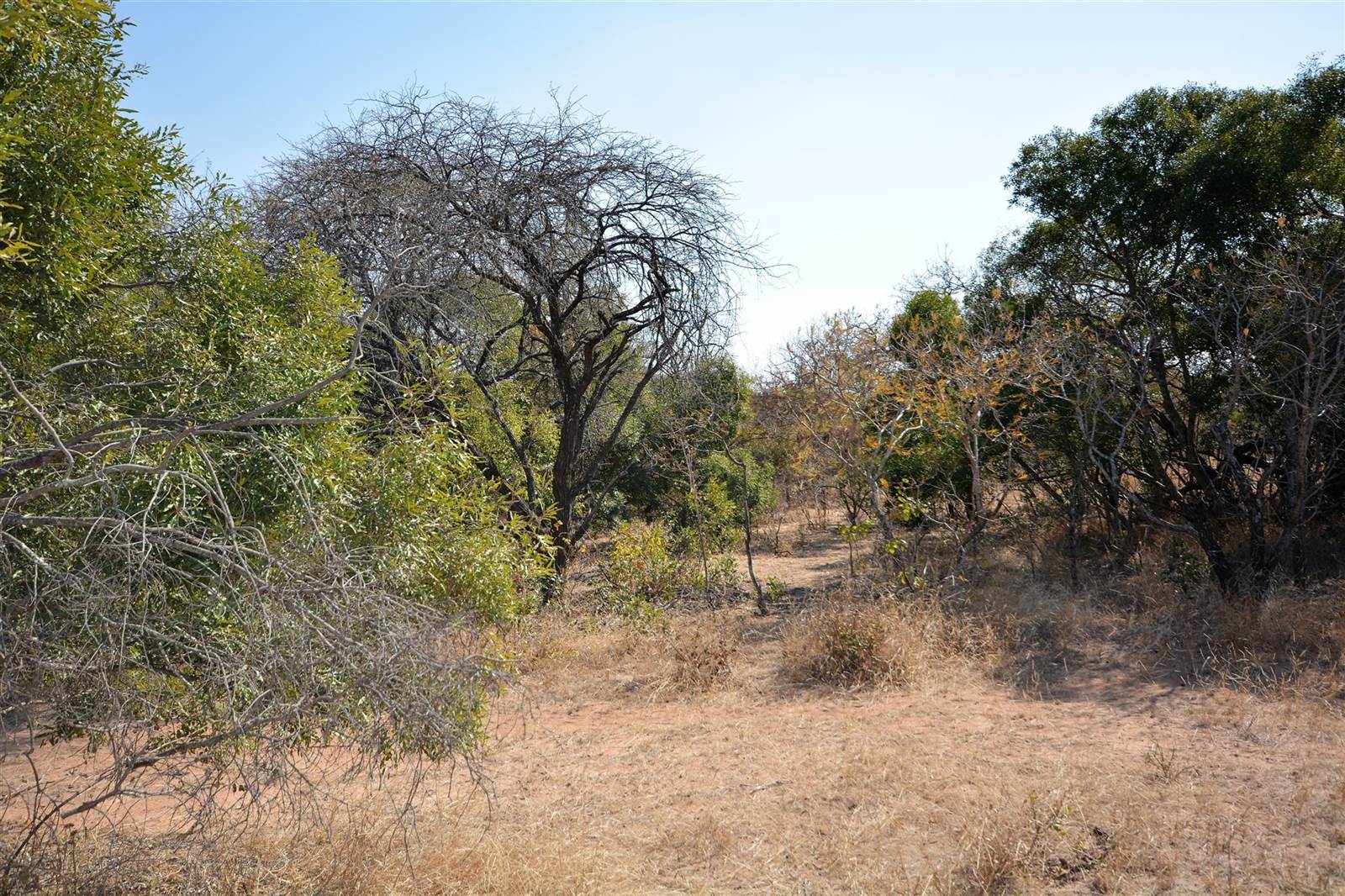 1 ha Land available in Moditlo Nature Reserve photo number 1