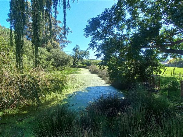 7 923 m² Farm 7 923 m² Farm