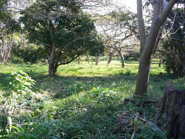 4047 m² Land available in Pennington photo number 2