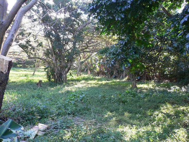 4047 m² Land available in Pennington photo number 1