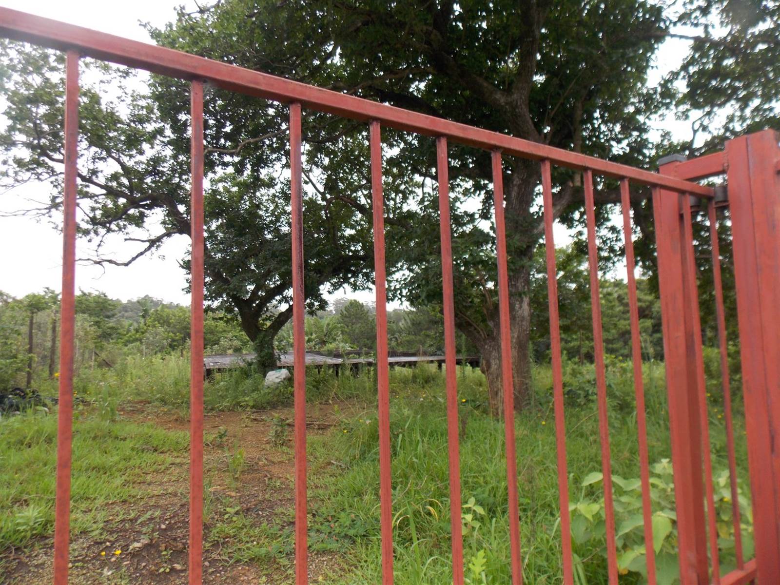 1230 m² Land available in Leisure Bay photo number 4