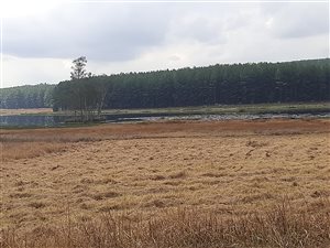 3554 m² Land available in Albert Falls