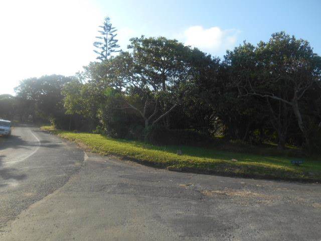 1339 m² Land available in Woodgrange photo number 5