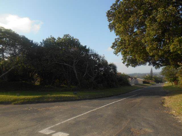 1339 m² Land available in Woodgrange photo number 3