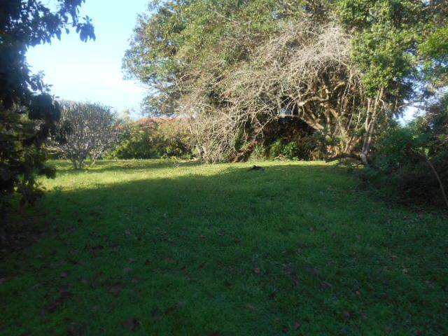 1339 m² Land available in Woodgrange photo number 4