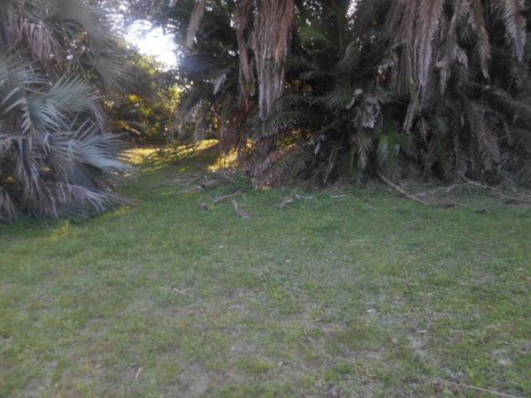 1339 m² Land available in Woodgrange