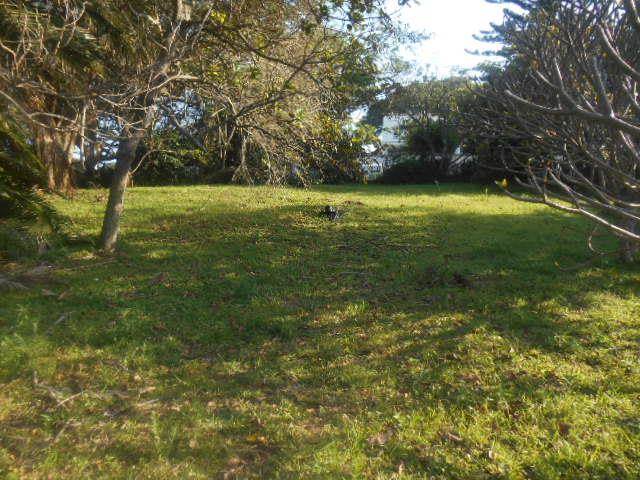 1339 m² Land available in Woodgrange photo number 7