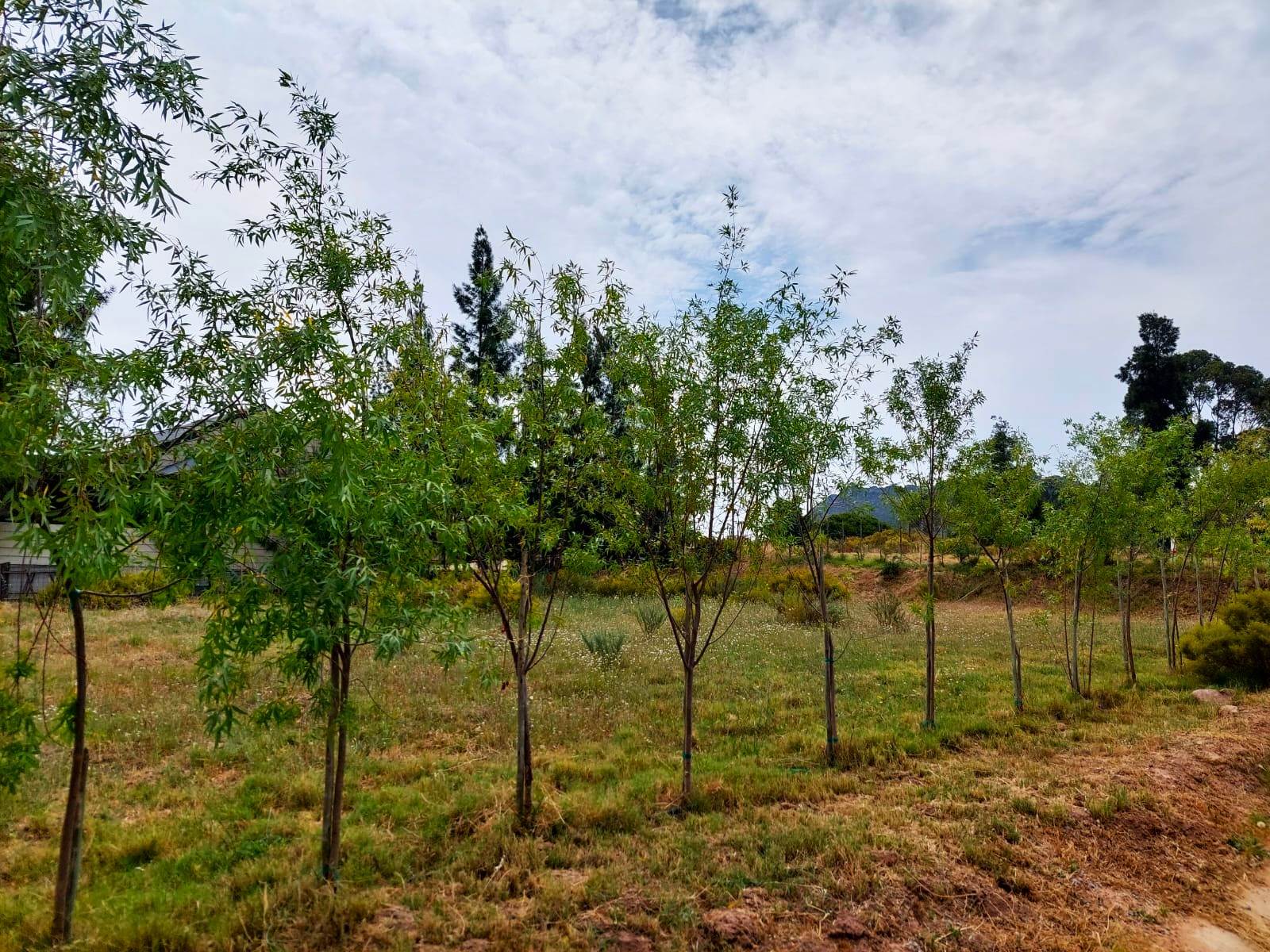 800 m² Land available in Aurora photo number 6