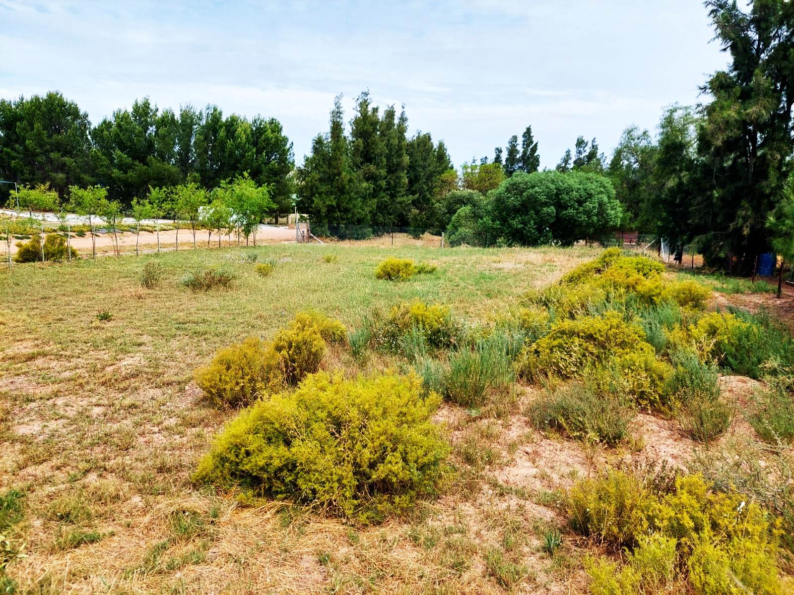 800 m² Land available in Aurora photo number 13