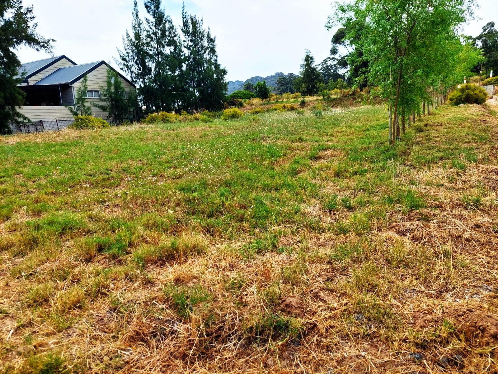 800 m² Land available in Aurora photo number 11