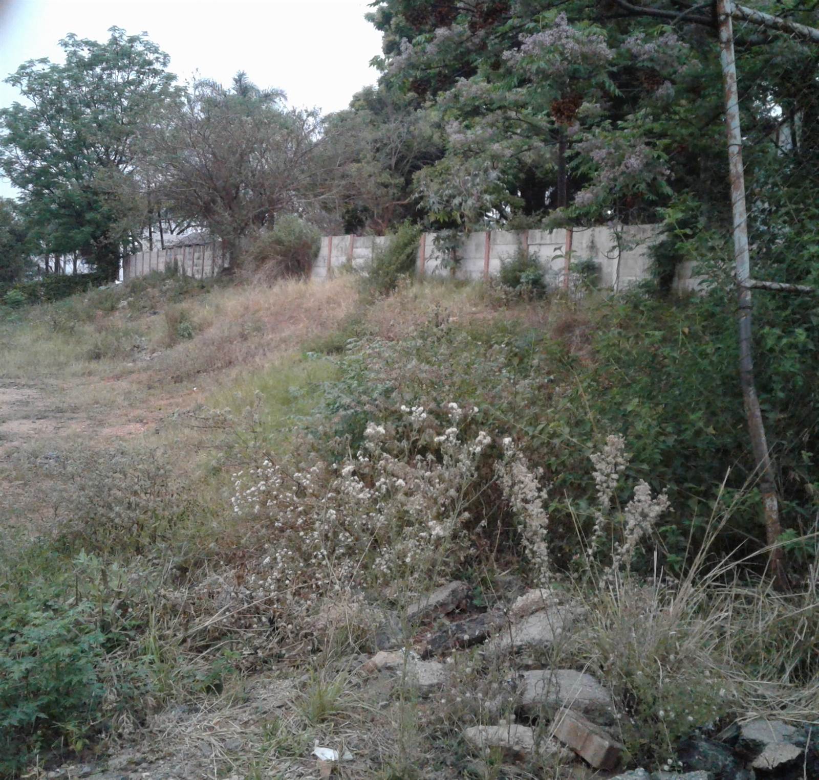 1.3 ha Land available in Tzaneen Industrial photo number 2