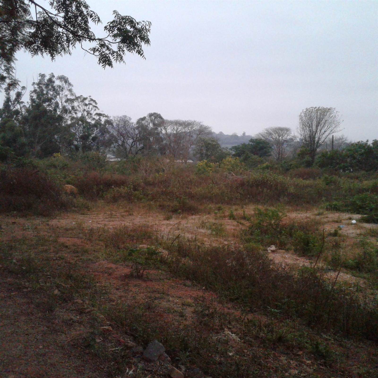 1.3 ha Land available in Tzaneen Industrial photo number 13