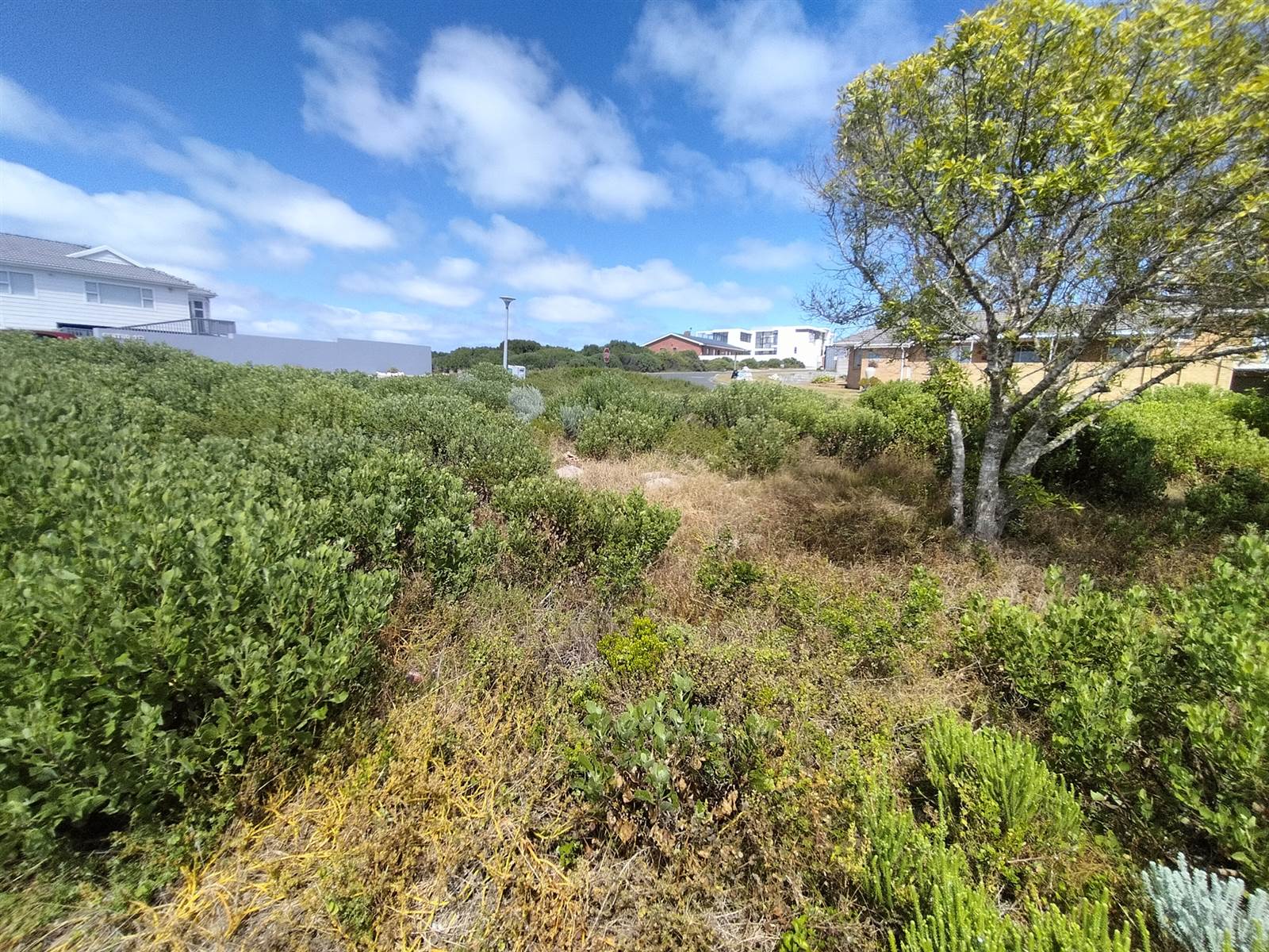 648 m² Land available in Agulhas photo number 7