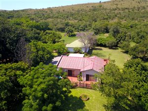 21 ha Farm in Wildebeeshoek AH