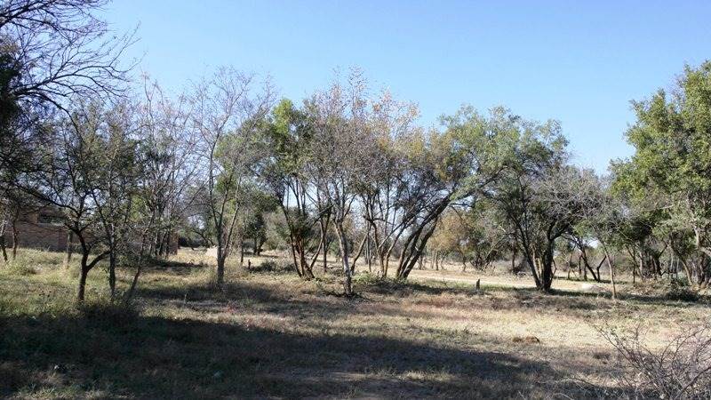 616 m² Land available in Bela-Bela (Warmbaths) photo number 3