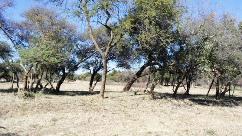 616 m² Land available in Bela-Bela (Warmbaths) photo number 2