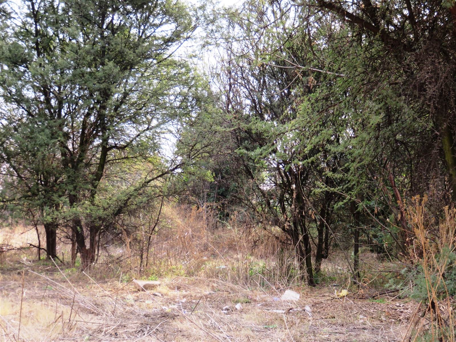 1120 m² Land available in Deneysville photo number 3