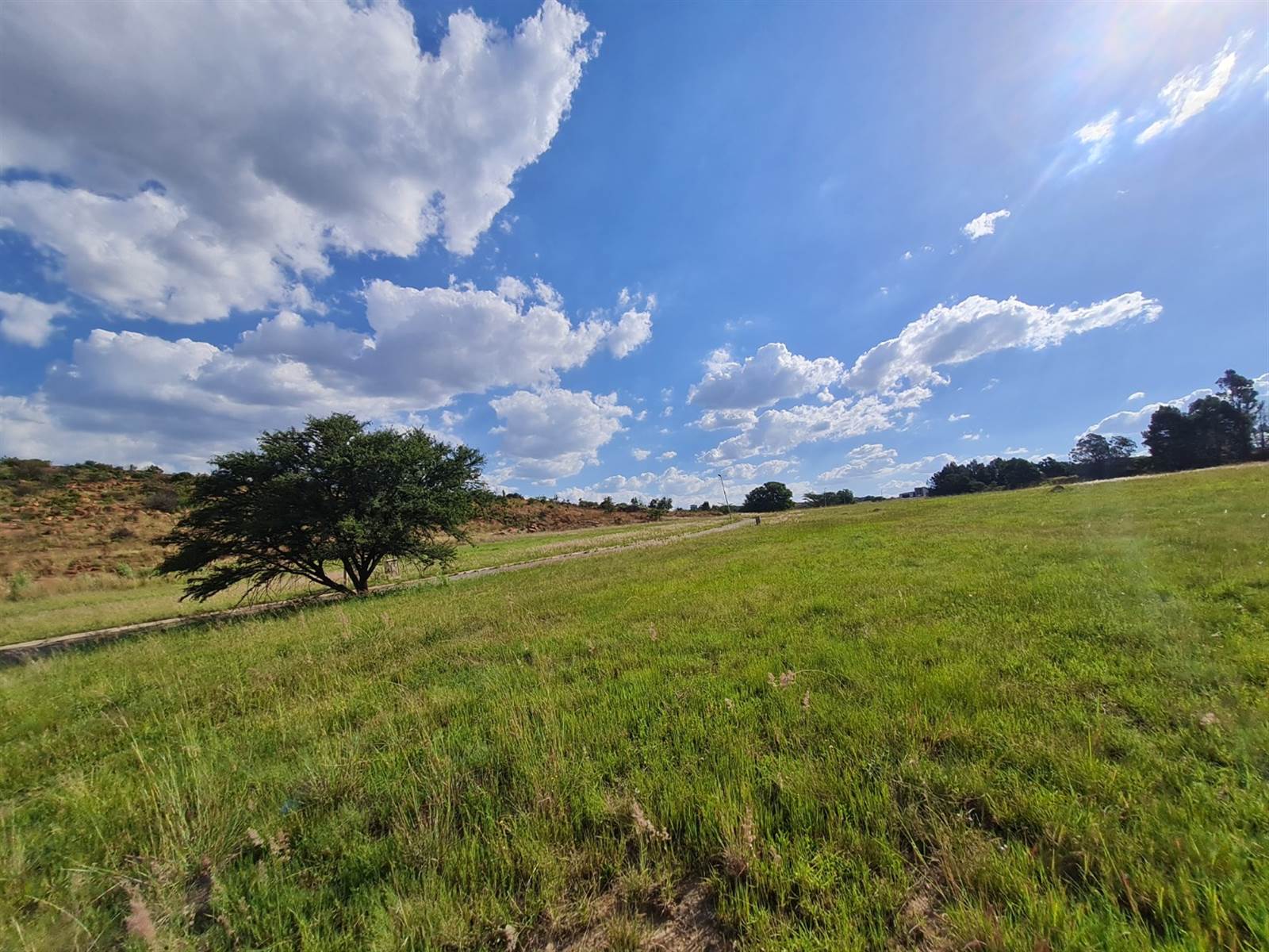 491 m² Land available in Berg en Dal photo number 4