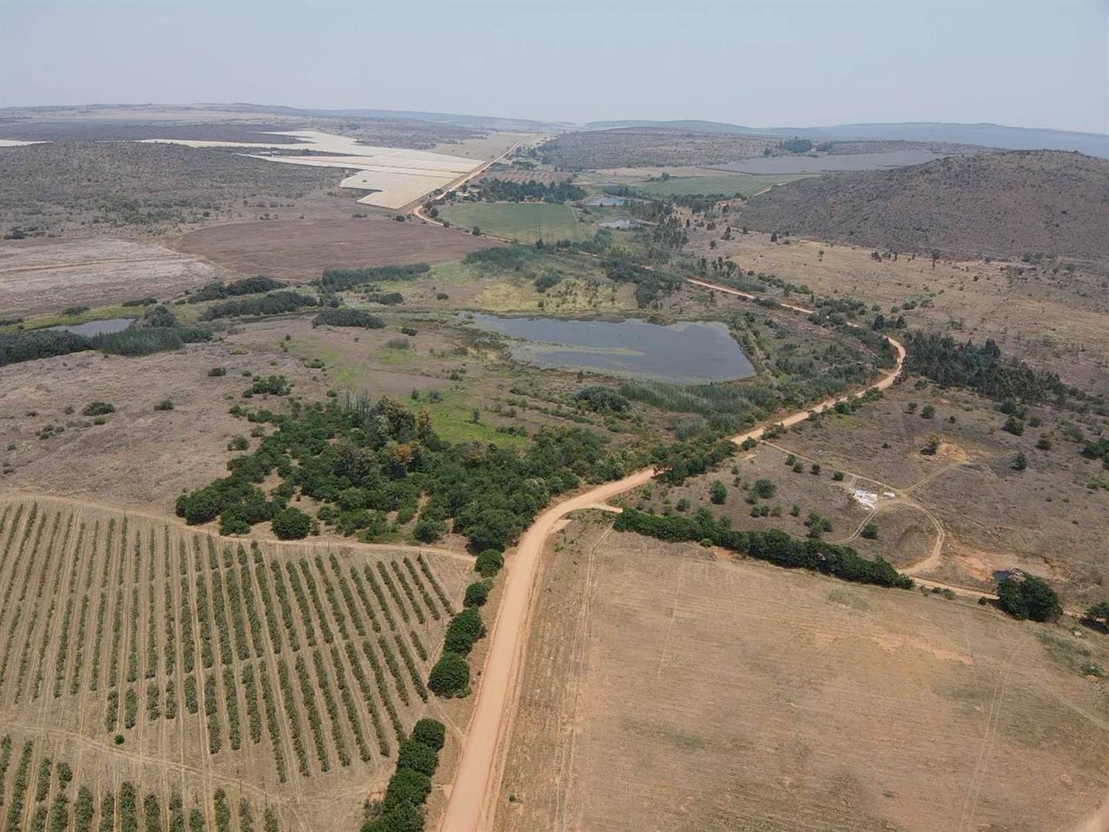 3680 ha Farm in Mookgophong (Naboomspruit) photo number 9