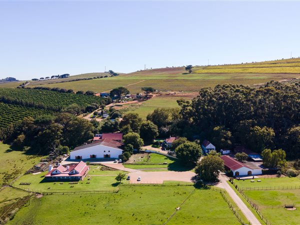 52 ha Farm in Onder Papegaaiberg