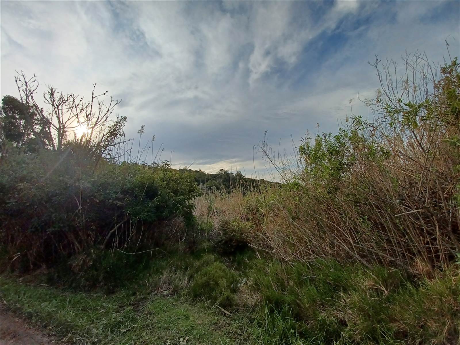 2.6 ha Land available in Plettenberg Bay Rural photo number 1