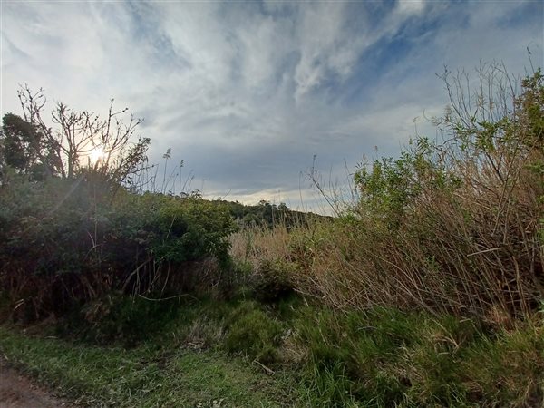 2.6 ha Land available in Plettenberg Bay Rural