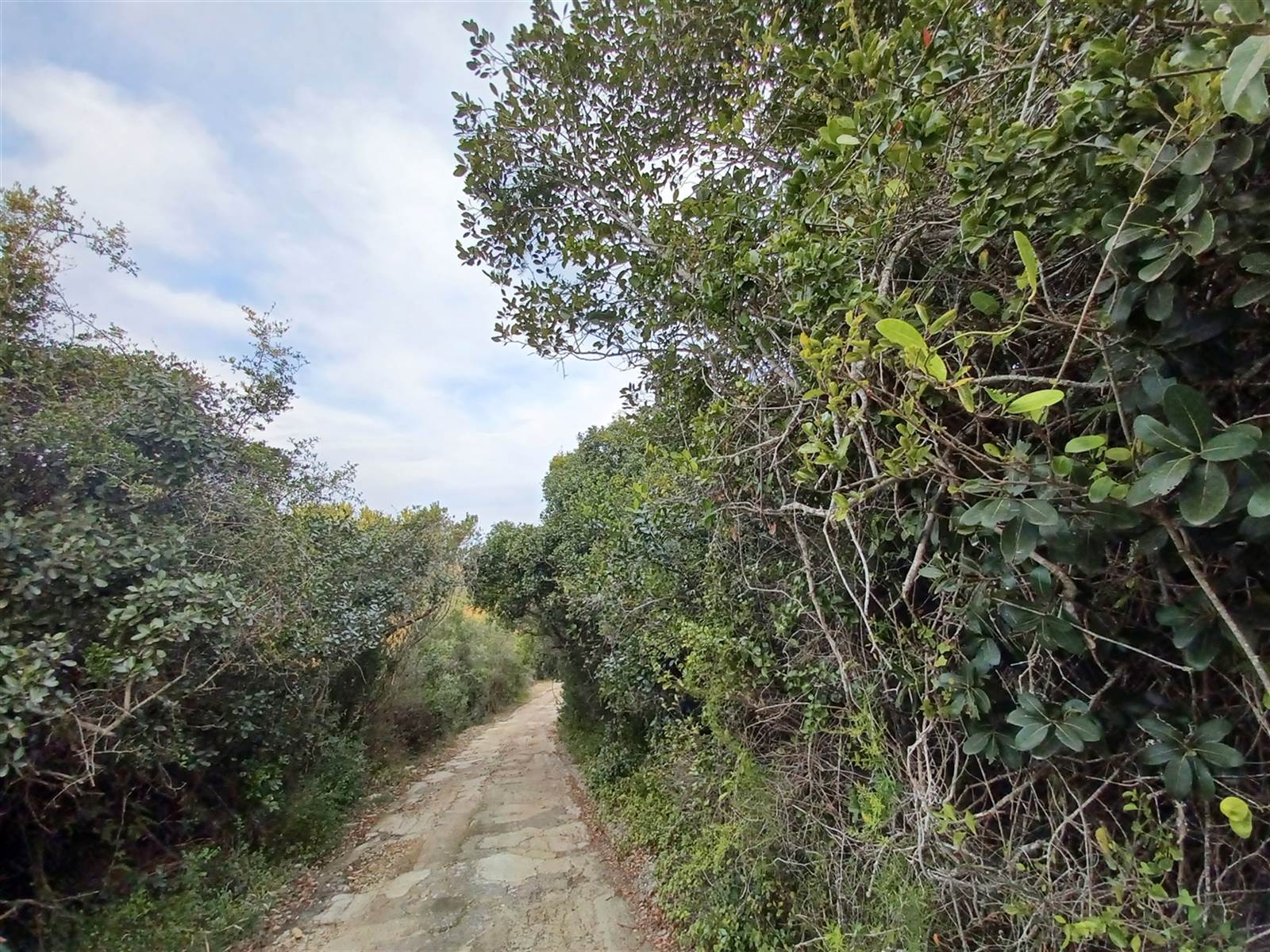 2.6 ha Land available in Plettenberg Bay Rural photo number 7