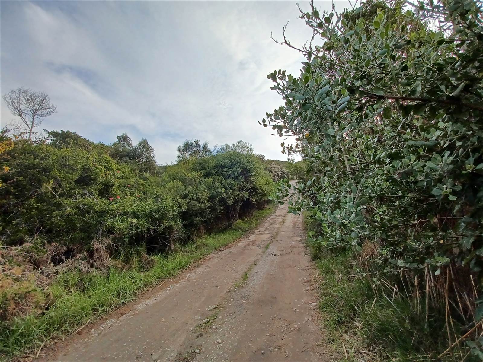 2.6 ha Land available in Plettenberg Bay Rural photo number 8
