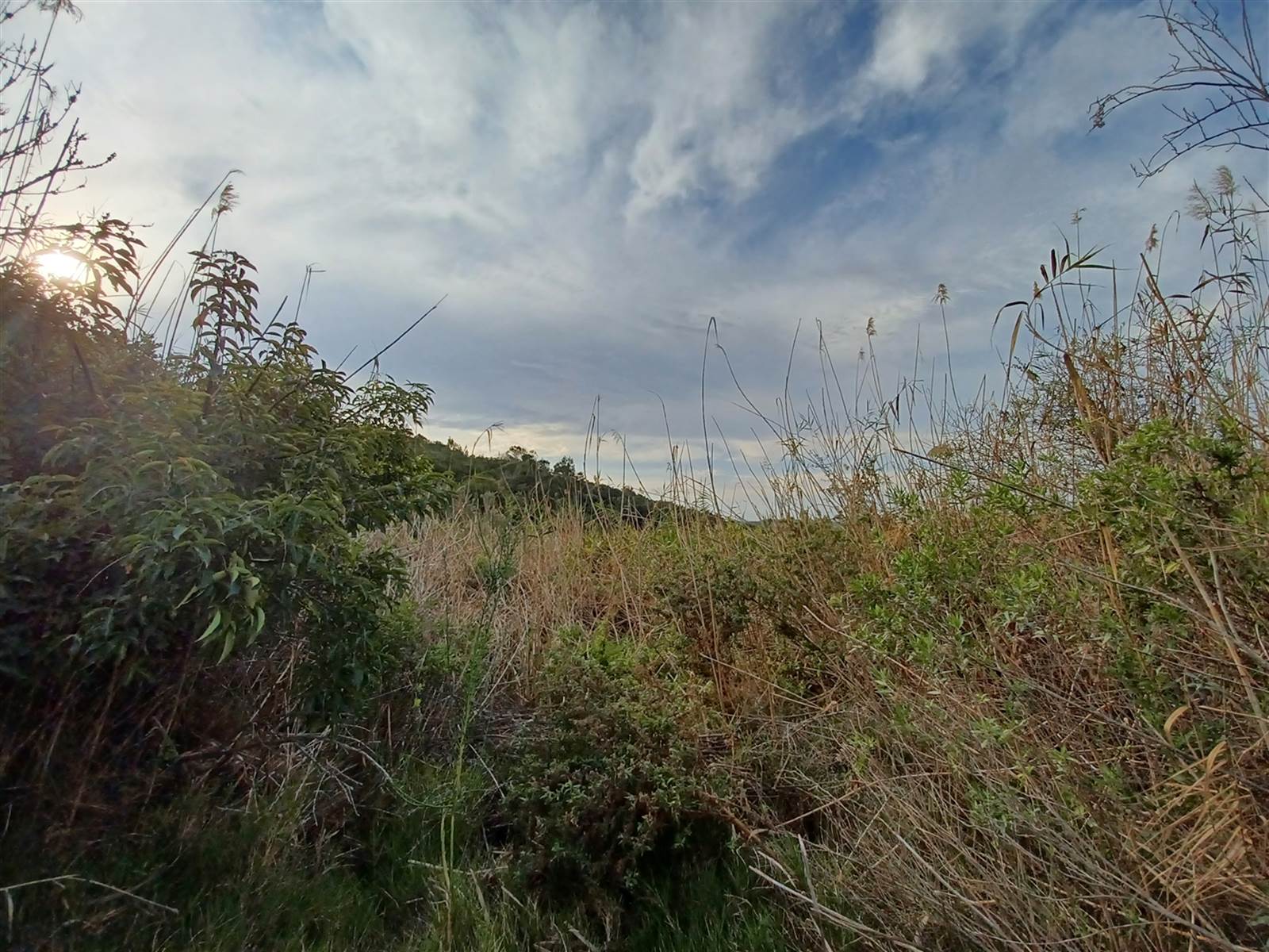 2.6 ha Land available in Plettenberg Bay Rural photo number 2