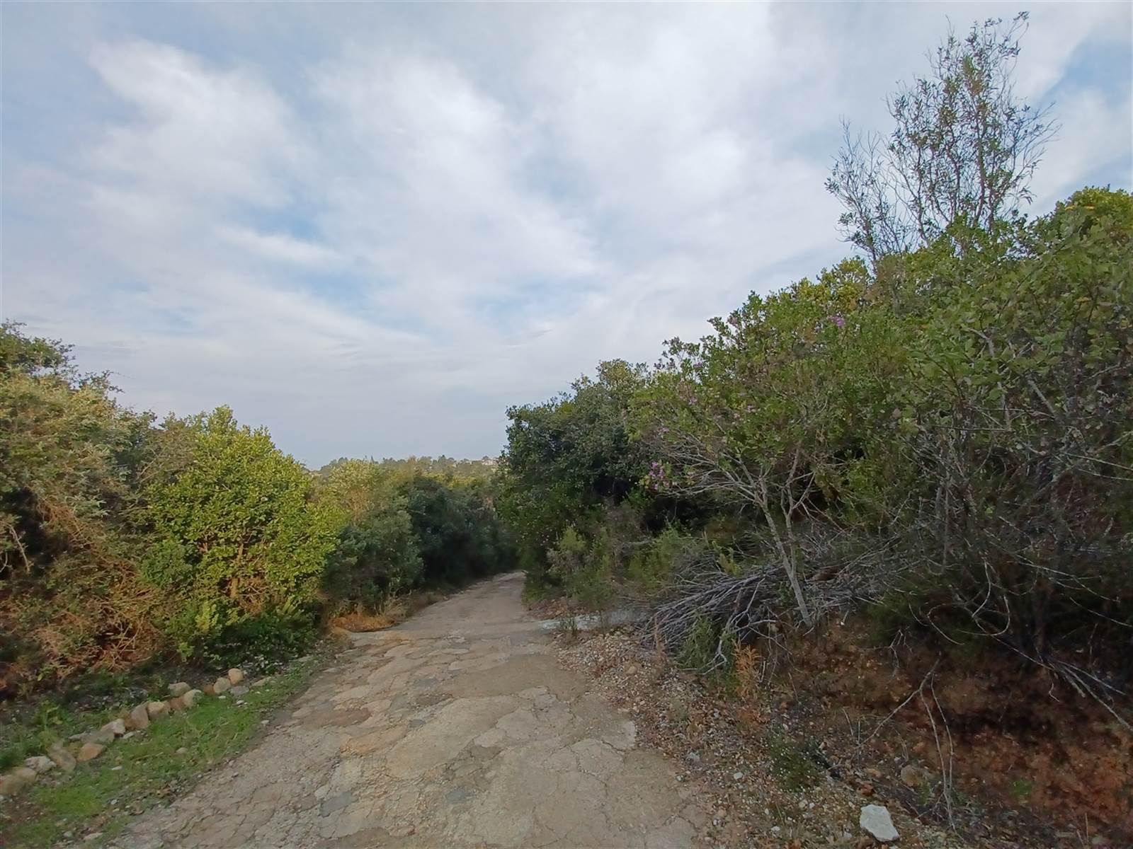 2.6 ha Land available in Plettenberg Bay Rural photo number 10