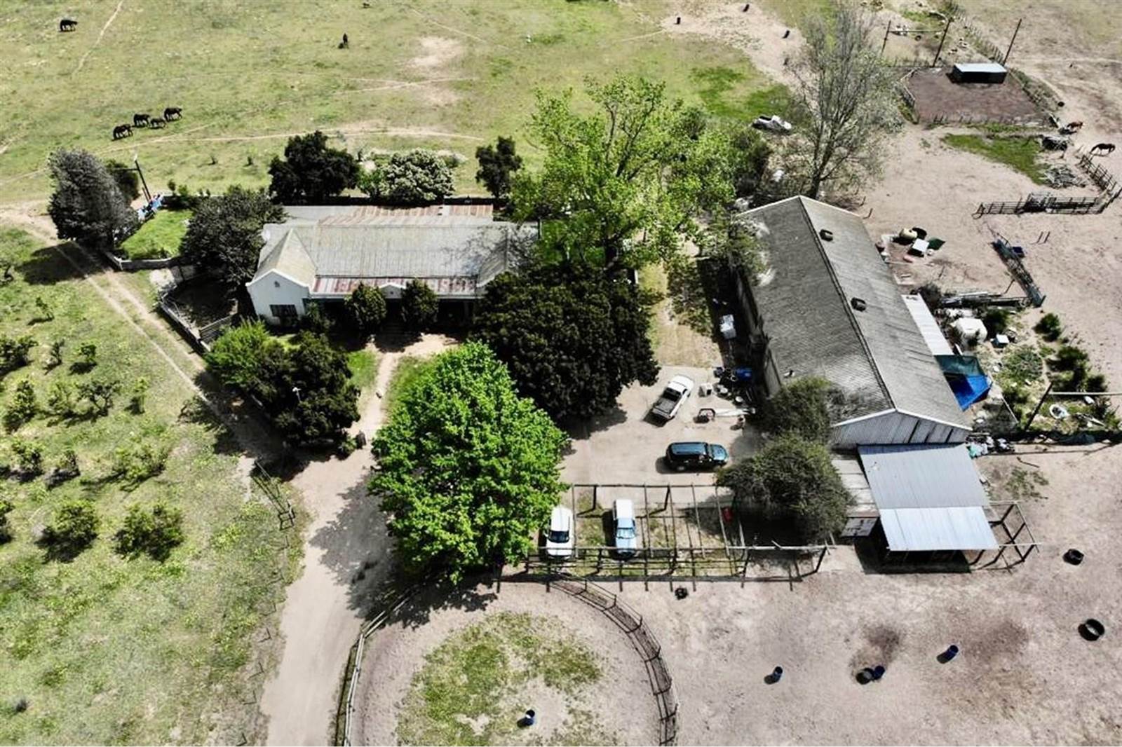 2.3 ha Farm in Northern Paarl photo number 14