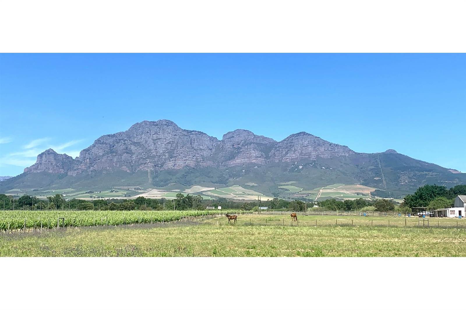 2.3 ha Farm in Northern Paarl photo number 4