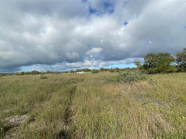 6.3 ha Land available in Welgemoed