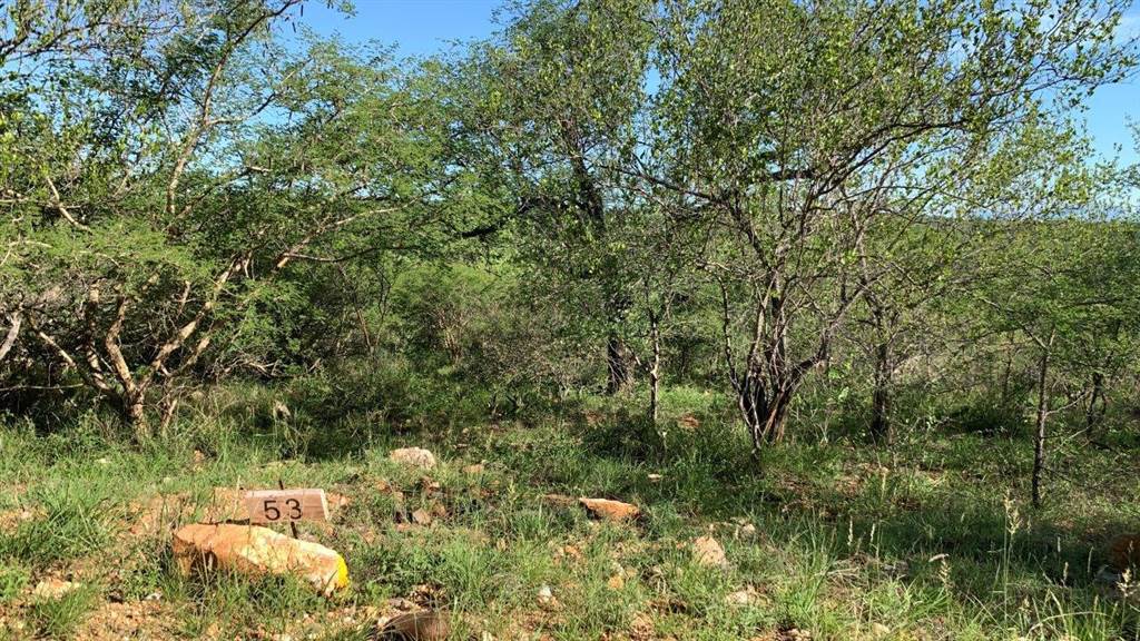 2400 m² Land available in Hoedspruit photo number 6