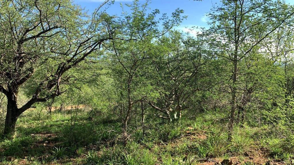 2400 m² Land available in Hoedspruit photo number 11