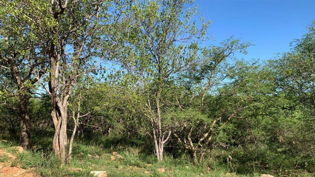 2400 m² Land available in Hoedspruit photo number 7