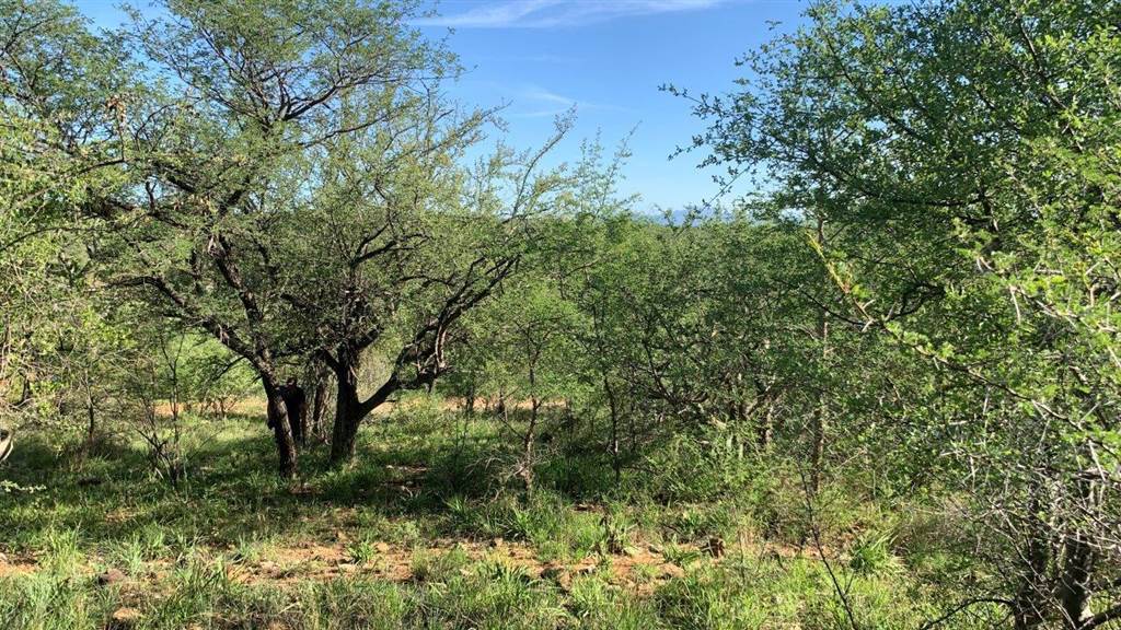 2400 m² Land available in Hoedspruit photo number 10