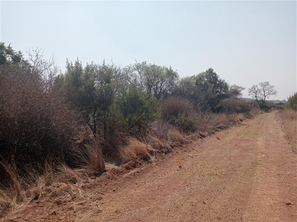6.3 ha Land available in Roodeplaat