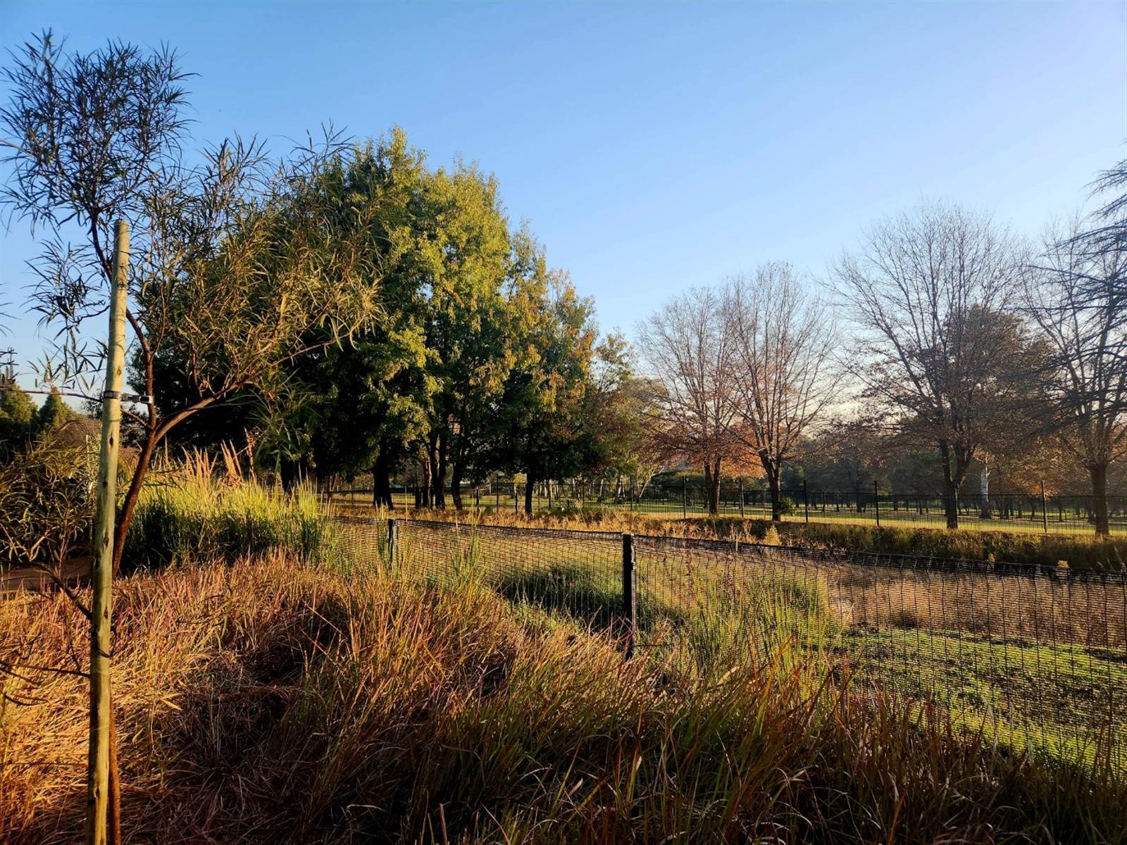 831 m² Land available in Linksfield North photo number 18