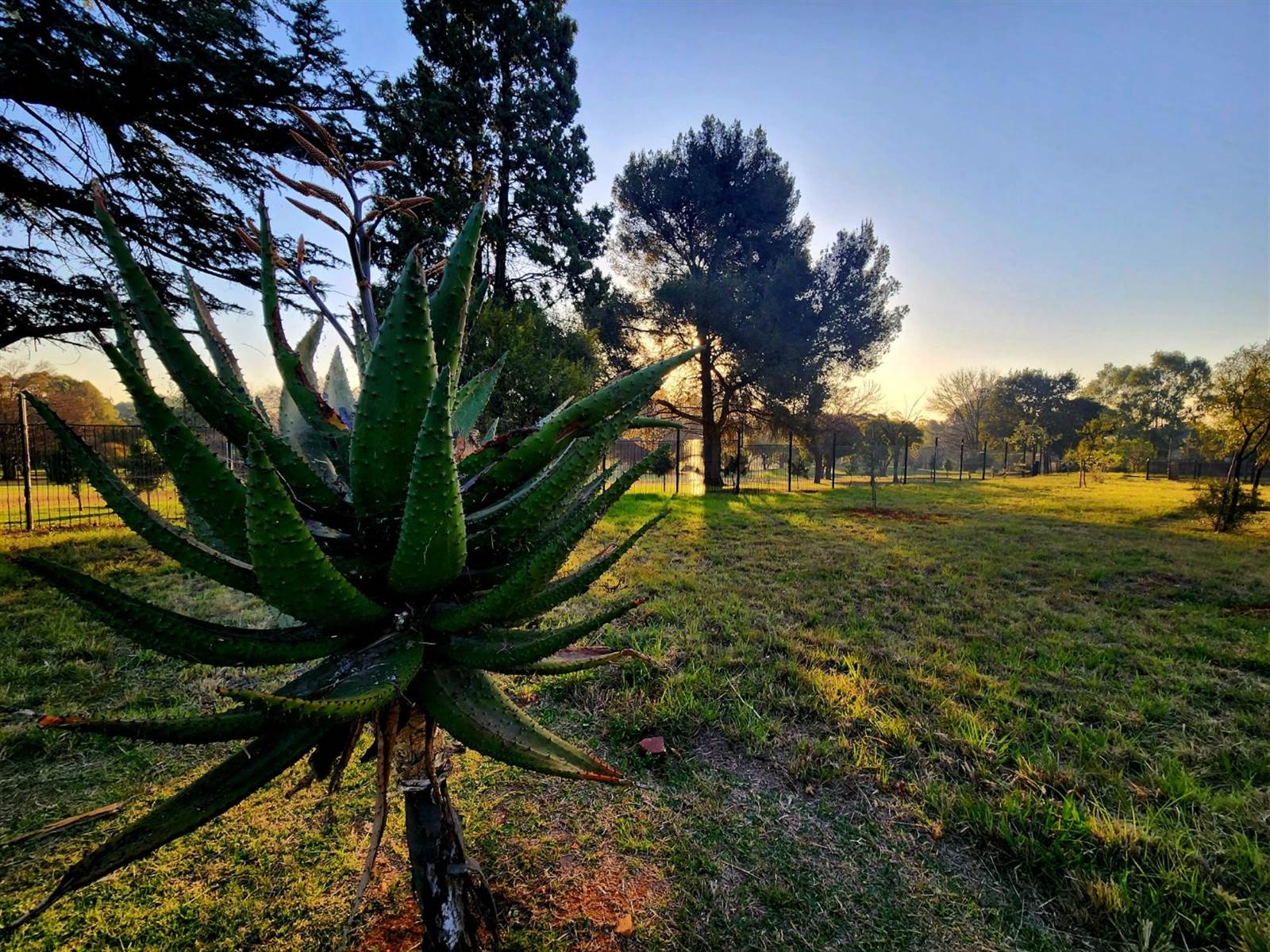 831 m² Land available in Linksfield North photo number 1