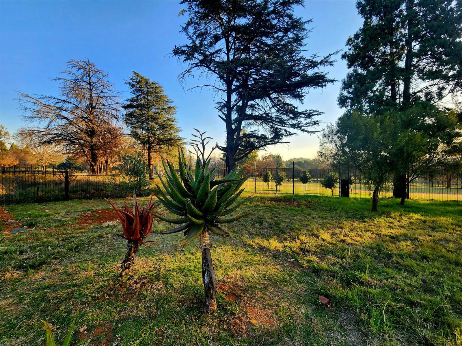 831 m² Land available in Linksfield North photo number 16