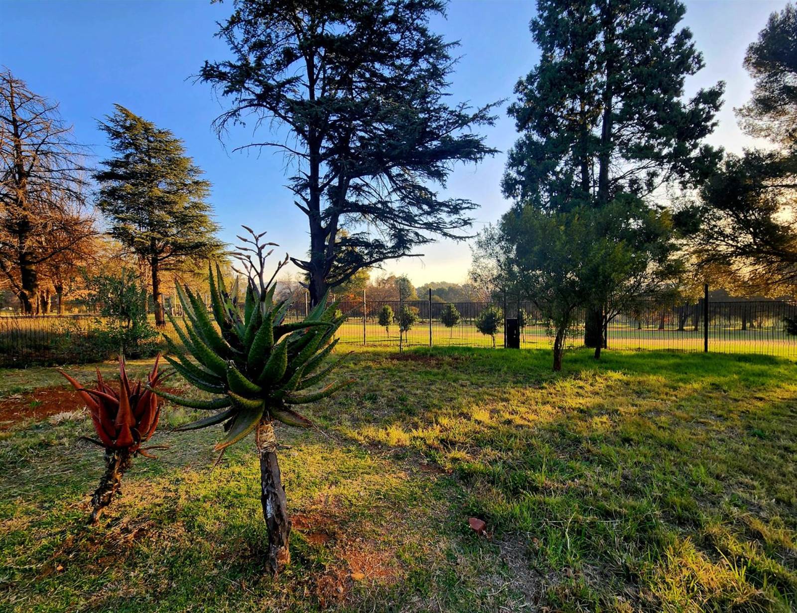 831 m² Land available in Linksfield North photo number 15