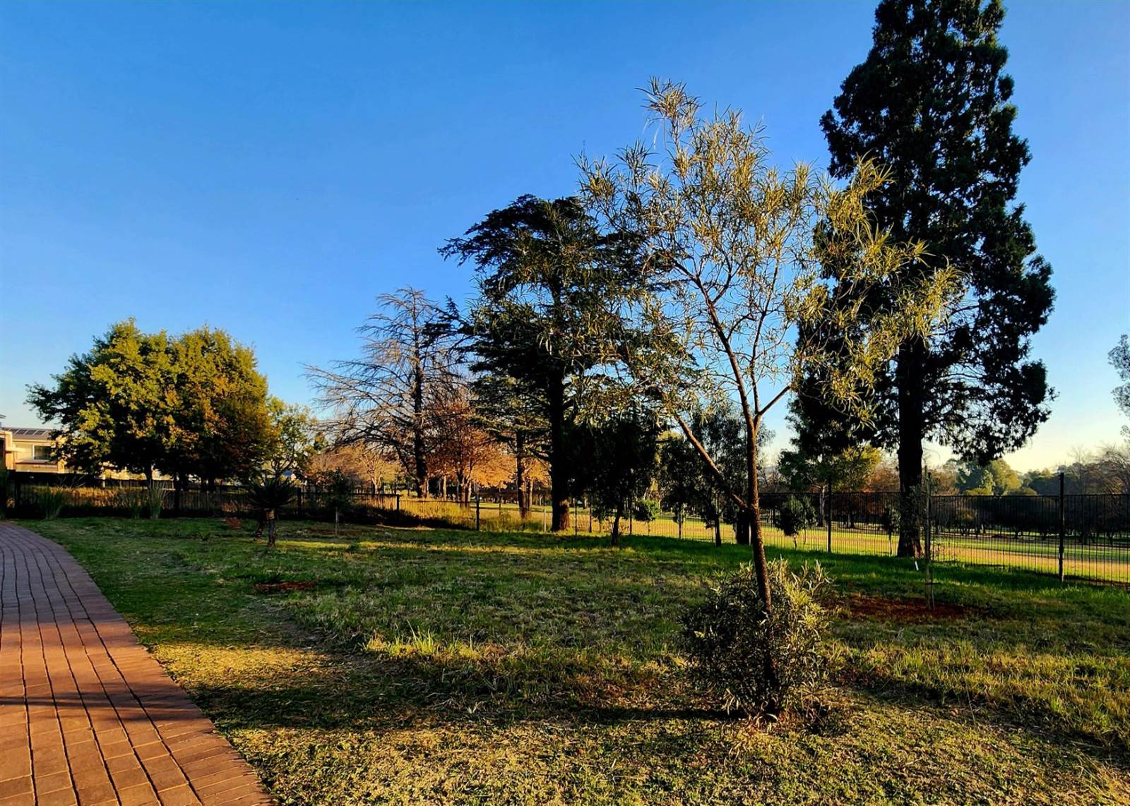 831 m² Land available in Linksfield North photo number 14